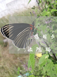 誰信用卡逾期被銀行起訴過(欠銀行信用卡被法院起訴了)
