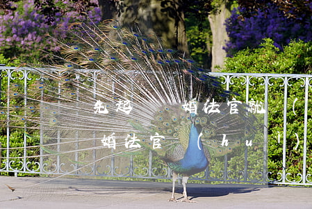 誰先起訴離婚法官就會(huì)判嗎(起訴離婚法官會(huì)問什么問題)
