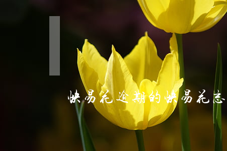 誰快易花逾期的(快易花忘記逾期6個小時)