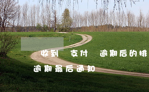 誰收到過支付寶逾期后的排期通知-支付寶逾期最后通知