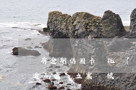 誰有逾期信用卡審批權(quán)(信用卡逾期通過立案審核)