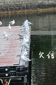 誰欠信用卡的錢最多(誰欠信用卡的錢最多呢)