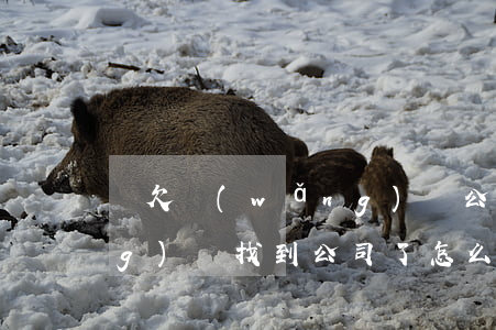 誰欠網(wǎng)貸公司錢(欠網(wǎng)貸找到公司了怎么辦)