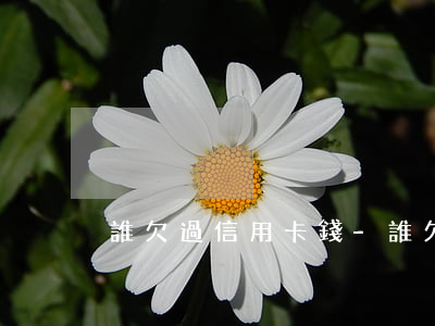 誰欠過信用卡錢-誰欠過信用卡錢怎么查詢