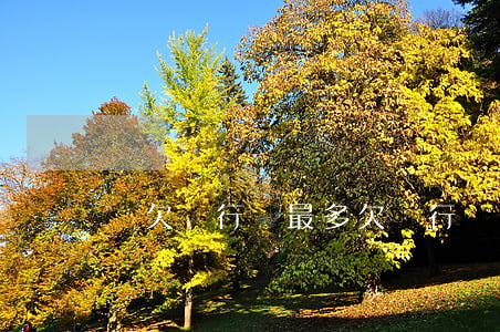 誰欠銀行錢最多(欠銀行錢最多拘留幾日)