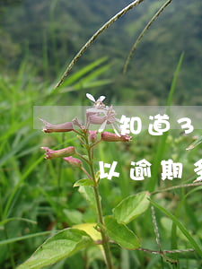 誰知道360借條逾期會怎樣(360借條可以逾期多久借條逾期有什么后果)