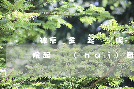 誰被京東金條起訴過呢-京東金條不還被法院起訴會(huì)有什么后果