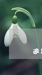 誰逾期被起訴會怎么樣-逾期會被法院起訴嗎