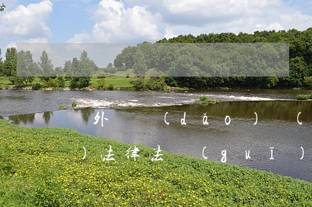 課外輔導(dǎo)機(jī)構(gòu)法律法規(guī)(國家對課外輔導(dǎo)機(jī)構(gòu)是怎么樣規(guī)定的)