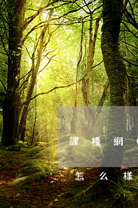 課棧網(wǎng)貸款逾期會(huì)怎么樣