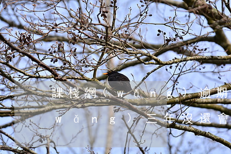 課棧網(wǎng)逾期了怎么辦(課棧網(wǎng)三年沒還會有事嗎)