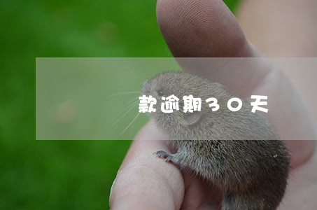 課棧貸款逾期30天
