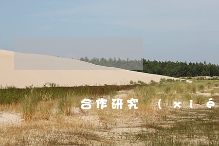 課題合作研究協(xié)議