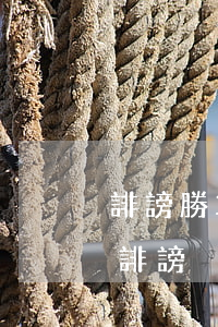 誹謗勝算大嗎(達(dá)到什么程度可以告誹謗)