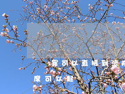 誹謗罪可以直接到法院起訴嗎(誹謗到什么程度可以起訴)