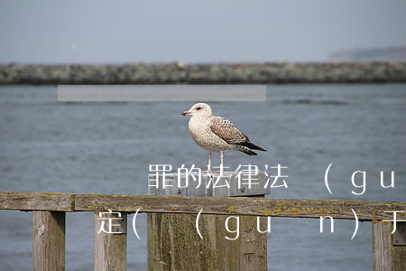 誹謗罪的法律法規(guī)規(guī)定(關(guān)于誹謗罪的法律條文有哪些)