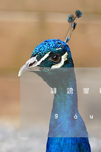 誹謗罪造成夫妻感情破裂離婚怎么判刑(構(gòu)成誹謗罪應(yīng)該怎么樣判處)