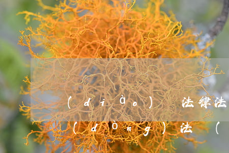 調(diào)崗法律法規(guī)(勞動(dòng)法關(guān)于調(diào)動(dòng)工作崗位的規(guī)定)