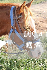 調(diào)深戶信用卡逾期過一次影響嗎(遷戶口信用卡逾期會有影響)