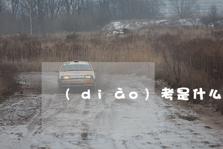 調(diào)考是什么意思