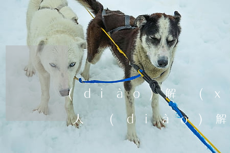 調(diào)解協(xié)議書怎么寫(個人調(diào)解協(xié)議書怎么寫)