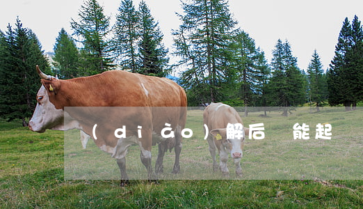 調(diào)解后還能起訴嗎