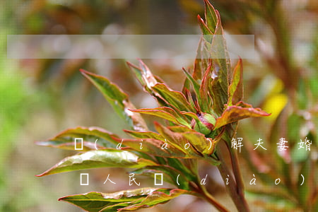 調(diào)解夫妻婚姻(家庭夫妻矛盾糾紛人民調(diào)解)
