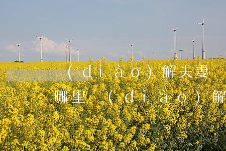 調(diào)解夫妻關(guān)系找哪里(調(diào)解夫妻關(guān)系找哪里)