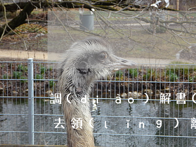 調(diào)解書(shū)拿了還需要去領(lǐng)離婚證嗎(拿調(diào)解書(shū)怎么辦離婚證)