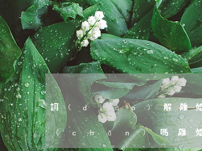 調(diào)解離婚后可以起訴分割財產(chǎn)嗎(離婚后可以重新起訴財產(chǎn)分割嗎)