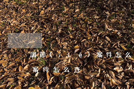 調節(jié)案件怎么查(調節(jié)案件怎么查)