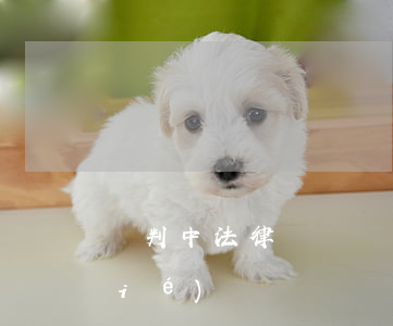 談判中法律顧問臺詞(談判法律顧問總結(jié)臺詞)