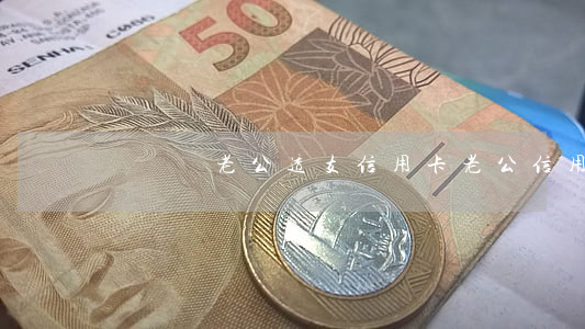 談戀愛老公透支信用卡(老公信用卡透支玩游戲)