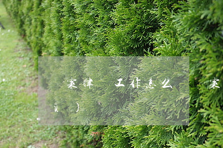 談案律師工作怎么樣(談案律師和律師區(qū)別)