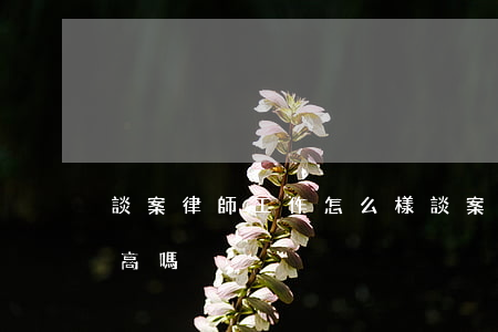 談案律師工作怎么樣(談案律師工資真的那么高嗎)
