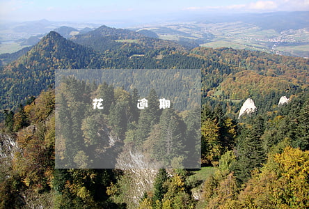 談花唄逾期
