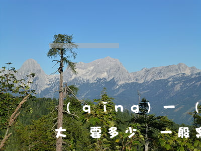 請(qǐng)一個(gè)刑事案件律師大約要多少錢(一般案件律師費(fèi)多少錢)