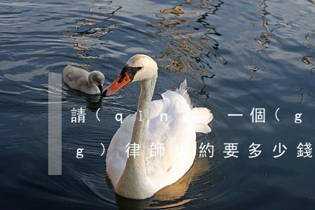 請(qǐng)一個(gè)勞動(dòng)律師大約要多少錢沈陽(yáng)(請(qǐng)個(gè)律師打勞動(dòng)需要多少錢)