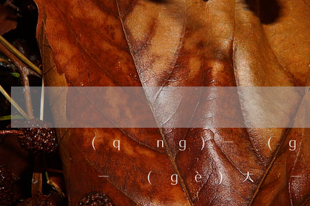 請(qǐng)一個(gè)廚師一月多少錢(一個(gè)大廚一個(gè)月多少錢?)
