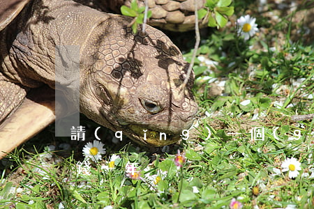 請(qǐng)一個(gè)私人律師多少錢一年