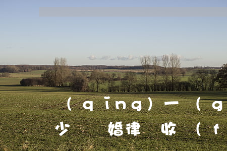 請(qǐng)一個(gè)離婚律師要多少錢(離婚律師收費(fèi)是多少)