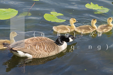 請(qǐng)一次律師大概多少錢(qián)(請(qǐng)一次律師大概要多少費(fèi)用?)