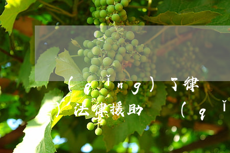 請(qǐng)了律師還能申請(qǐng)法律援助嗎(請(qǐng)了律師還能申請(qǐng)法律援助嗎)