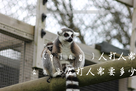 請(qǐng)人打人需要多少錢(現(xiàn)在打人需要多少錢)