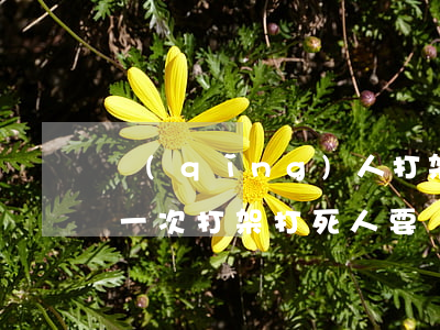 請(qǐng)人打架多少錢(qián)一次(打架打死人要賠多少錢(qián))