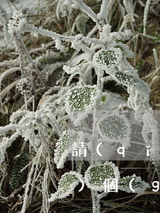 請(qǐng)個(gè)律師寫(xiě)個(gè)合同大約多少錢(qián)(請(qǐng)一個(gè)律師起草一份協(xié)議要多少錢(qián))