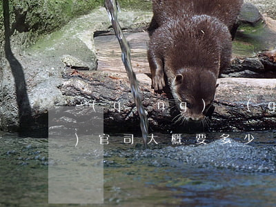 請(qǐng)個(gè)律師打個(gè)官司大概要多少錢(請(qǐng)個(gè)律師打官司大概是多少錢)