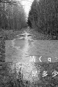 請(qǐng)個(gè)律師打官司大概是多少錢(請(qǐng)律師打官司需要多少錢)