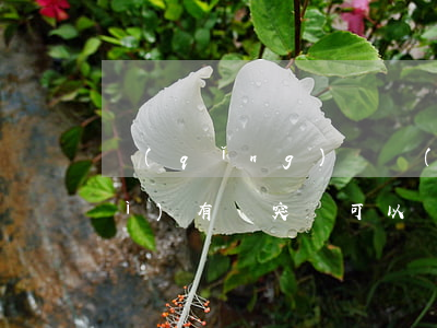請(qǐng)兩個(gè)律師會(huì)有沖突嗎(可以請(qǐng)兩個(gè)律師嗎)