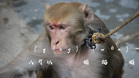 請(qǐng)問(wèn)一個(gè)人可以訴訟離婚嗎(起訴離婚一個(gè)人不去多久才可以離婚)